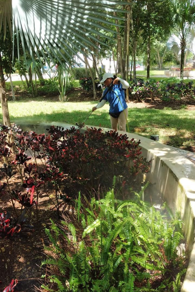 limpieza-de-areas-verdes-en-condominios